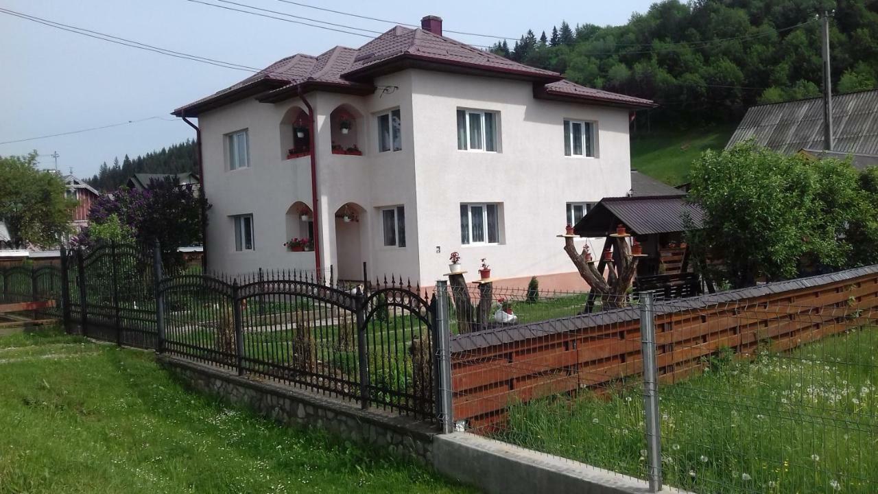 Casa Irina Manastirea Humor Exterior foto